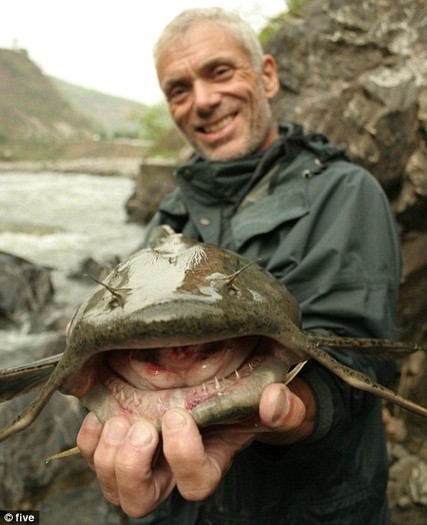 Photo:  Jeremy Wade